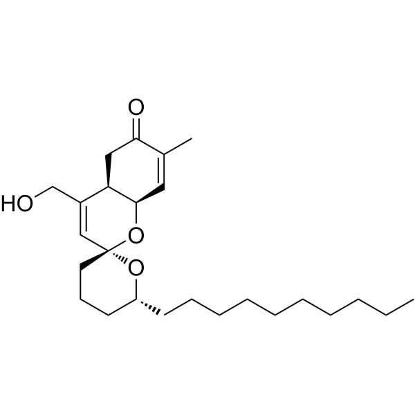 SARS-CoV-2-IN-40